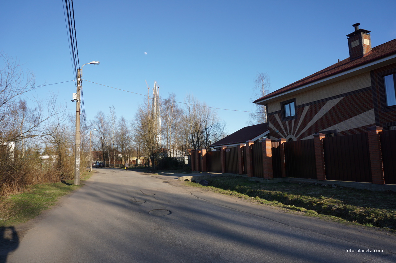 ольгино фото поселка