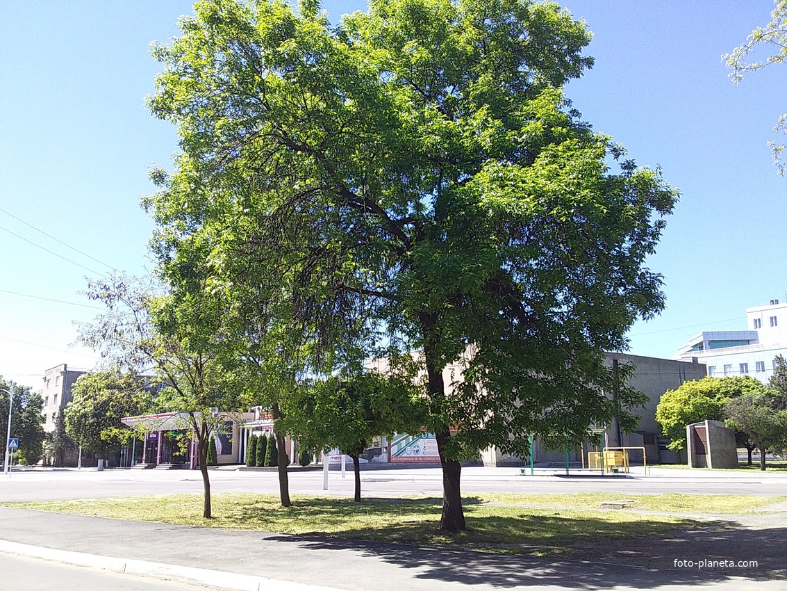 Город Измаил, площадь Мира