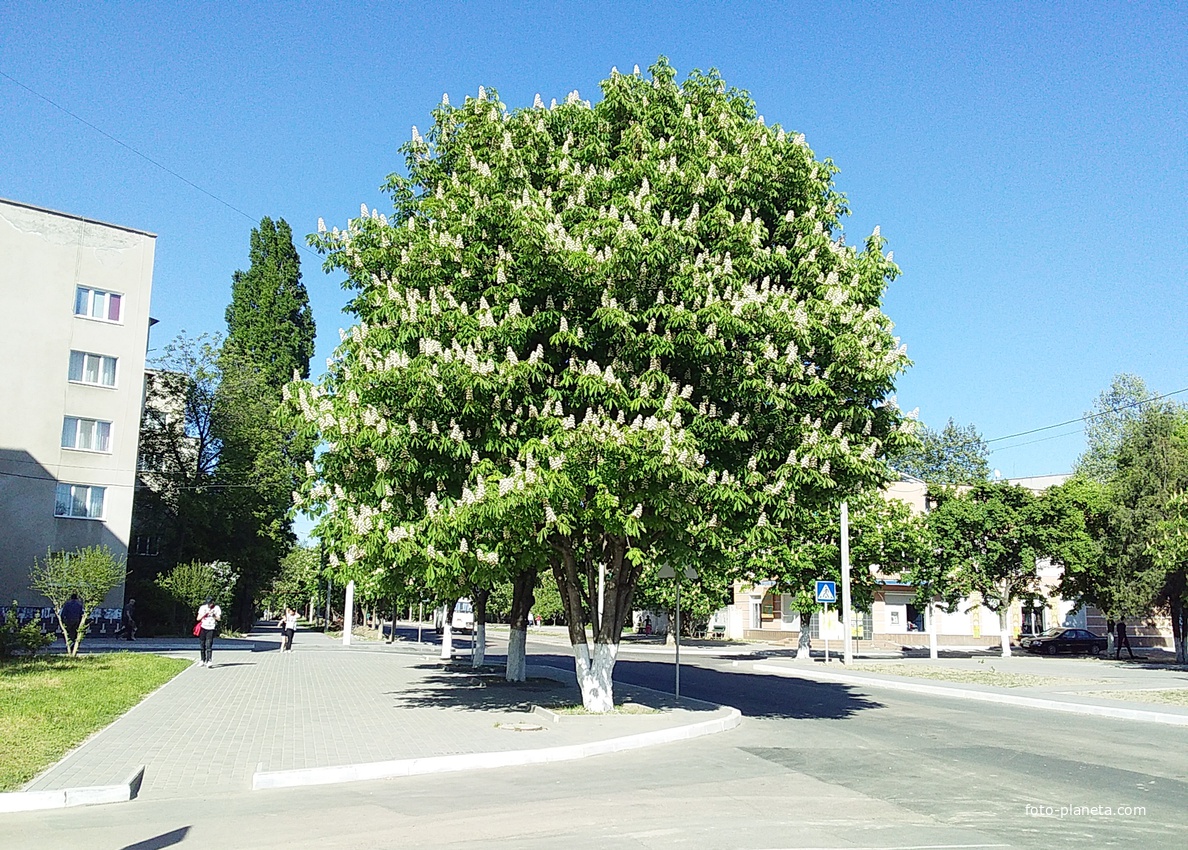город Измаил, улица Ивана  Франко