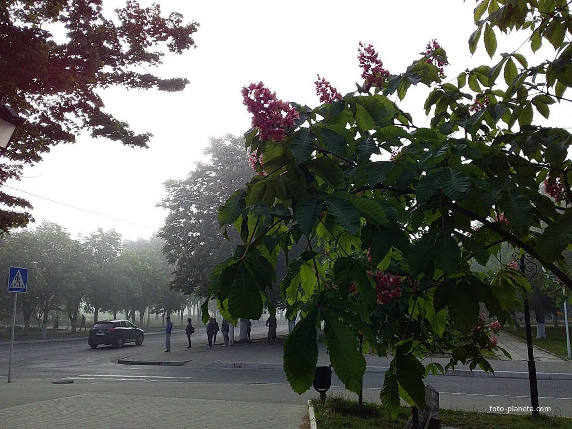 город Измаил, проспект Мира