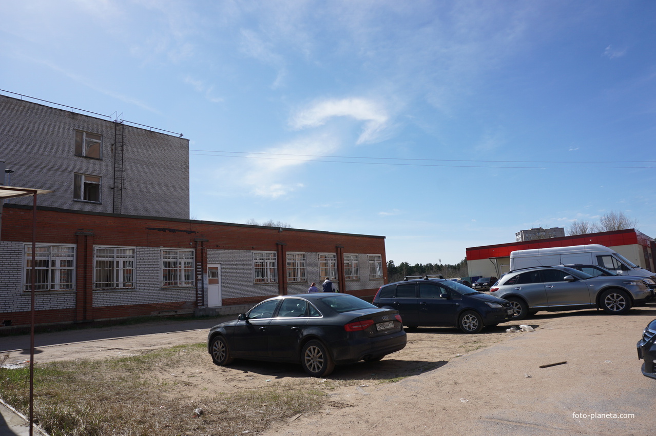 Сосновый бор