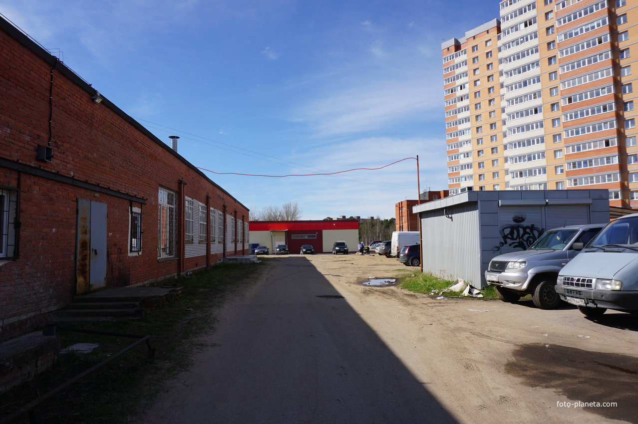 Сосновый бор