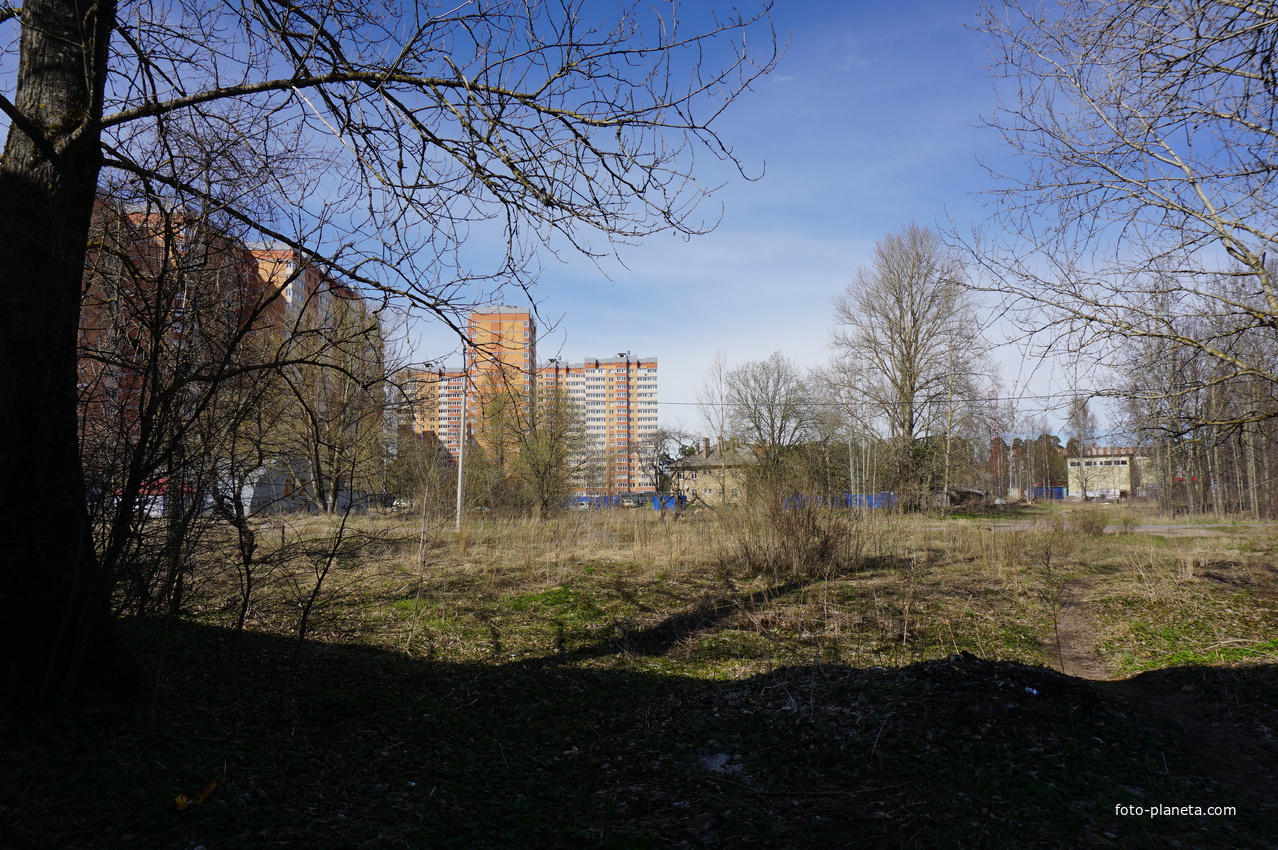 Сосновый бор