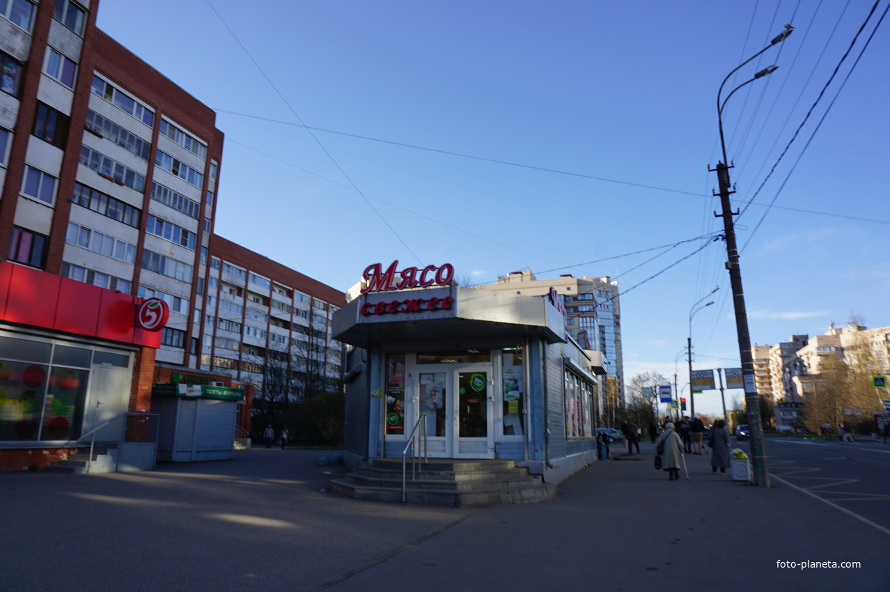 Сестрорецк