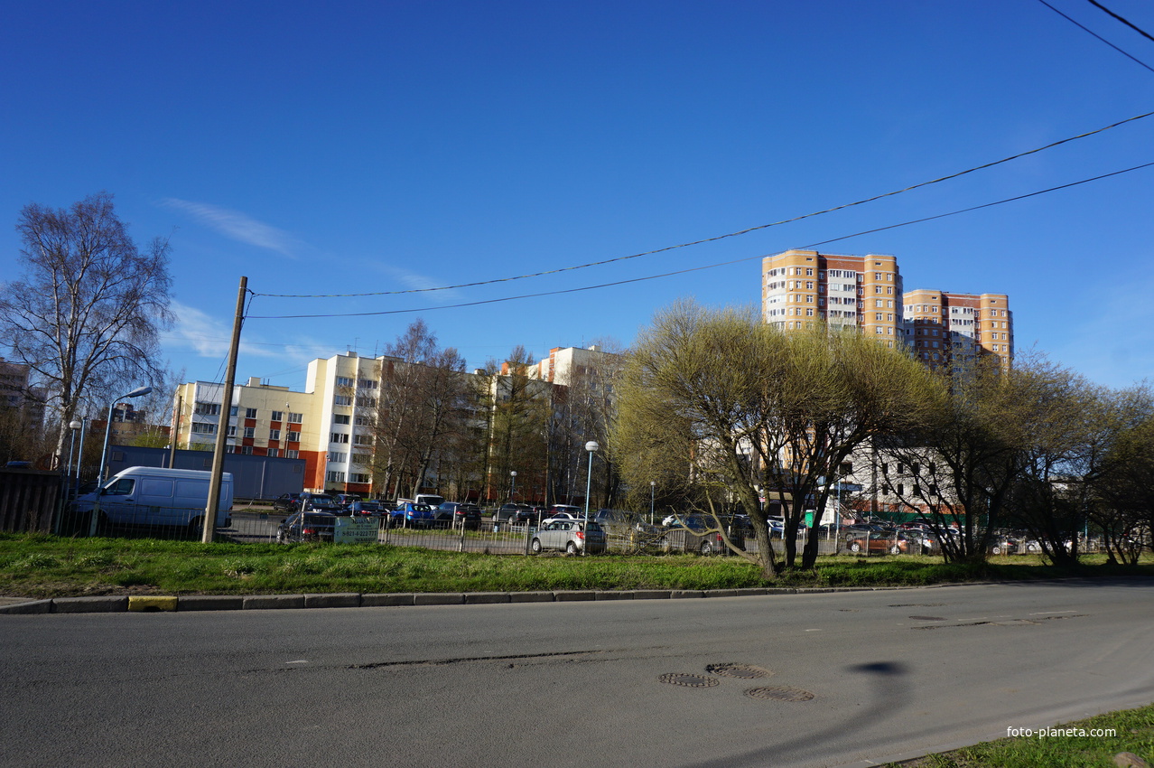 Сестрорецк