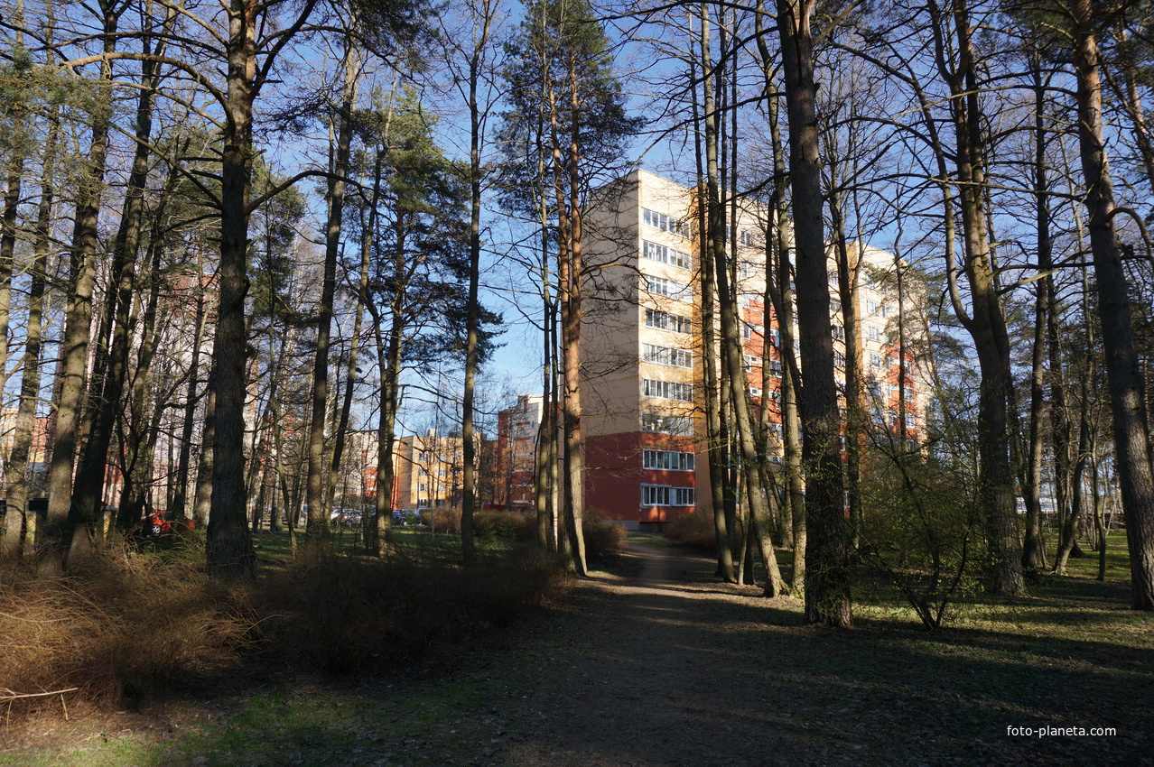 Сестрорецк