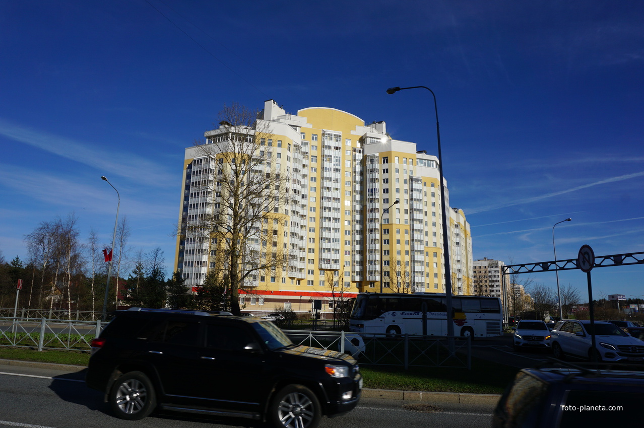 Сестрорецк