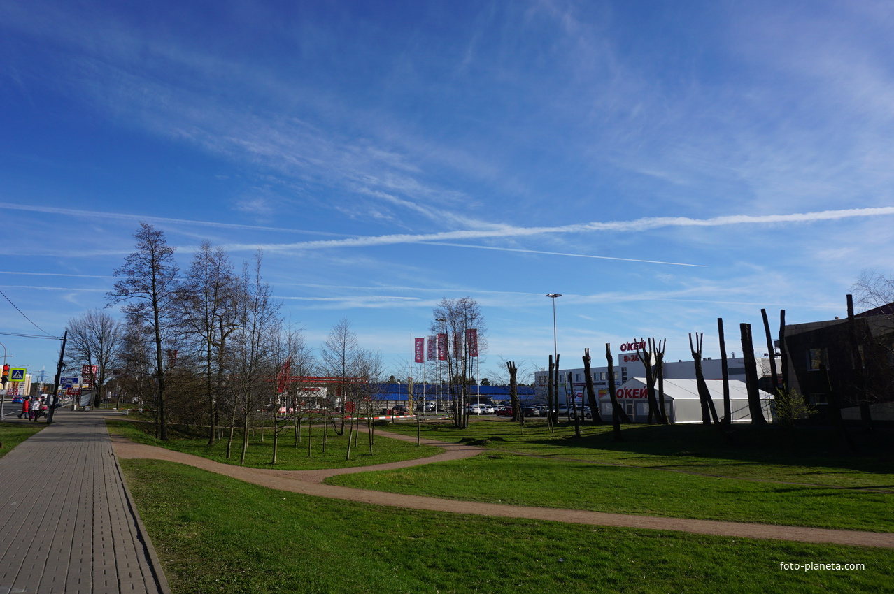 Сестрорецк