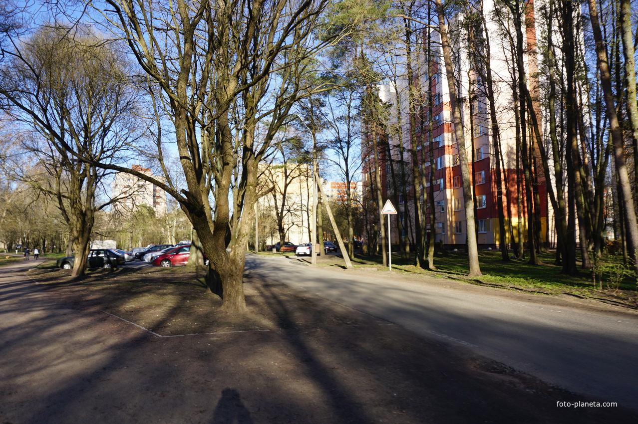 Сестрорецк