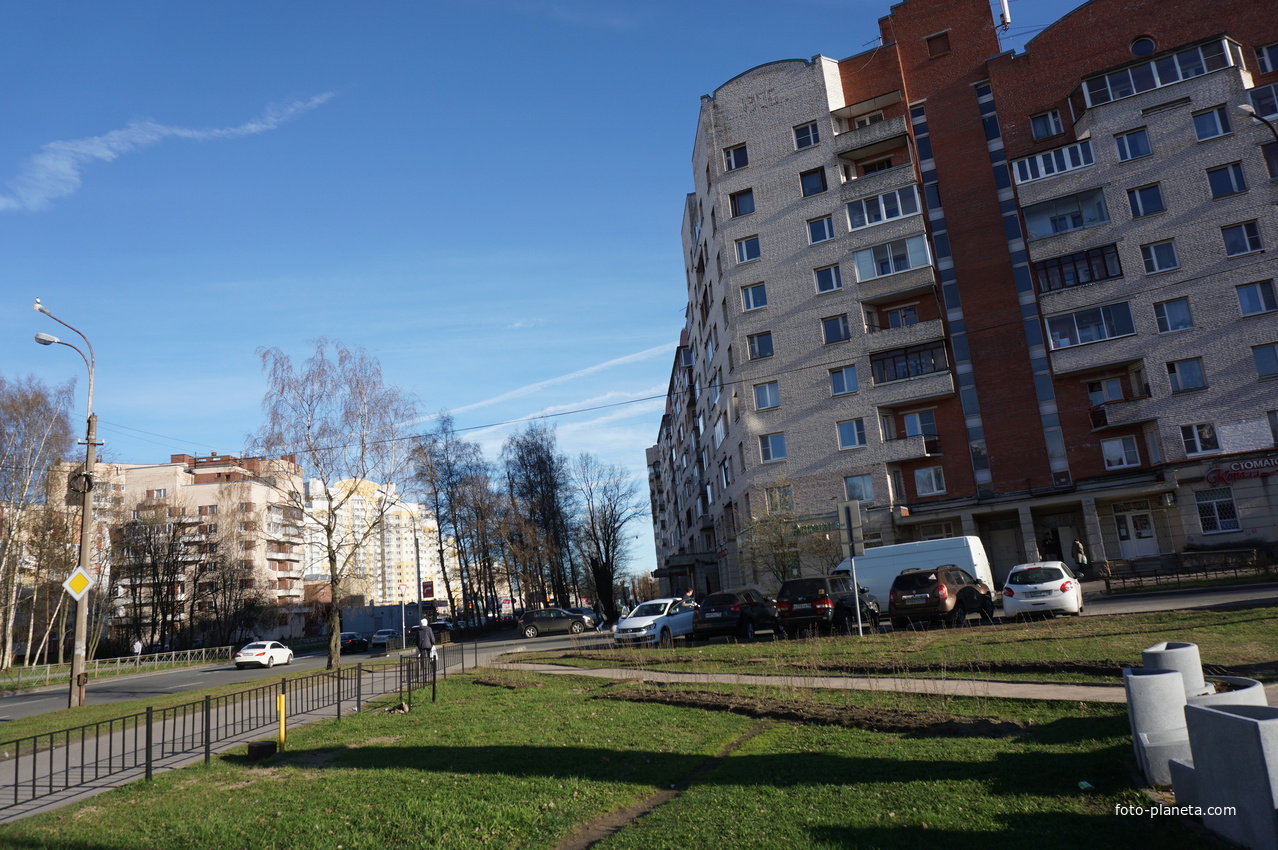 Сестрорецк