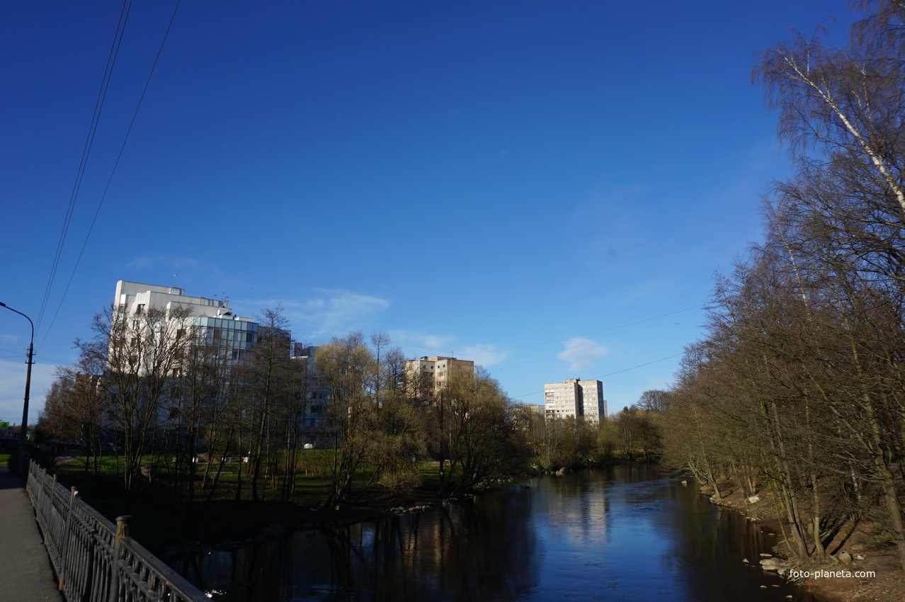 Сестрорецк