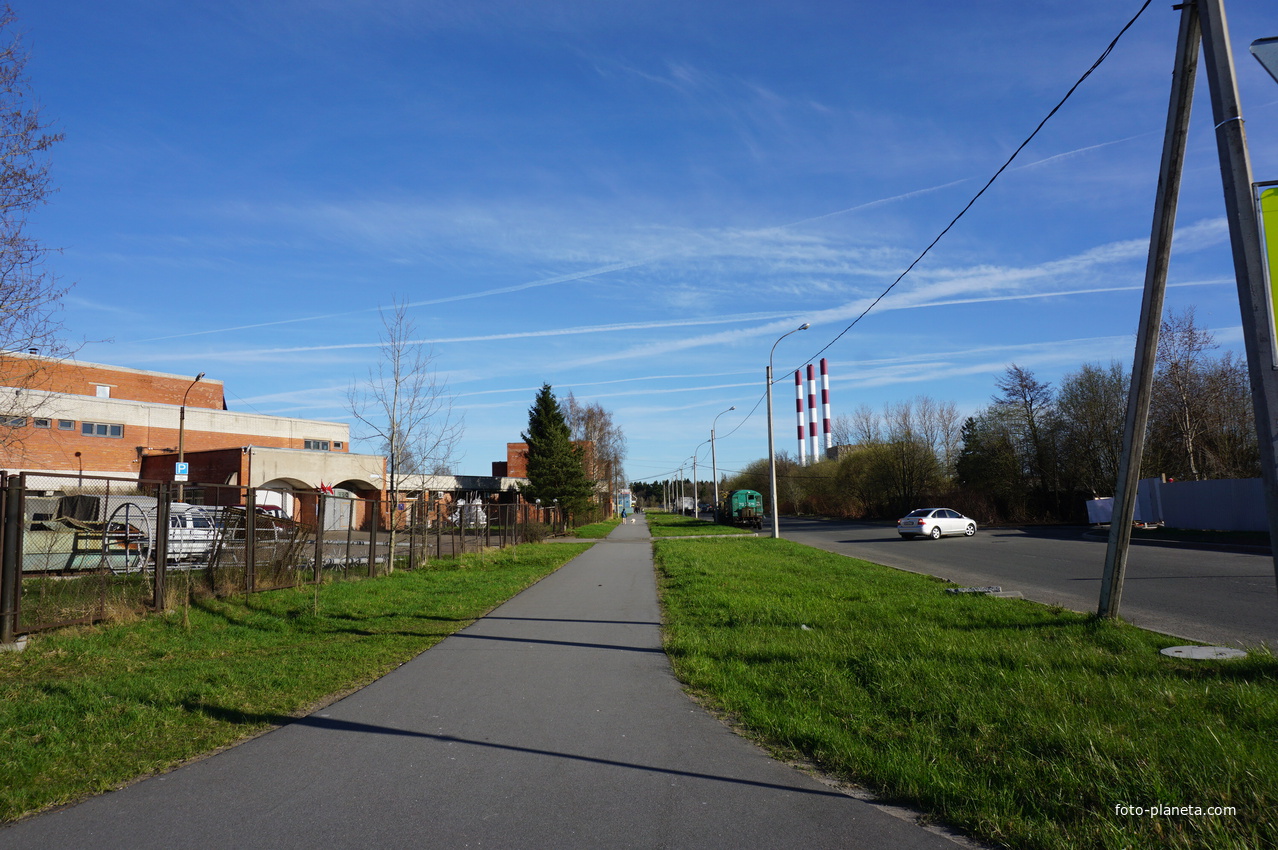 Сестрорецк