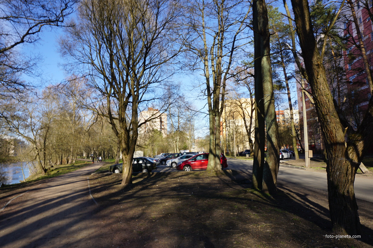 Сестрорецк