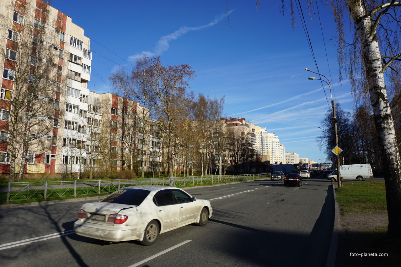 Сестрорецк