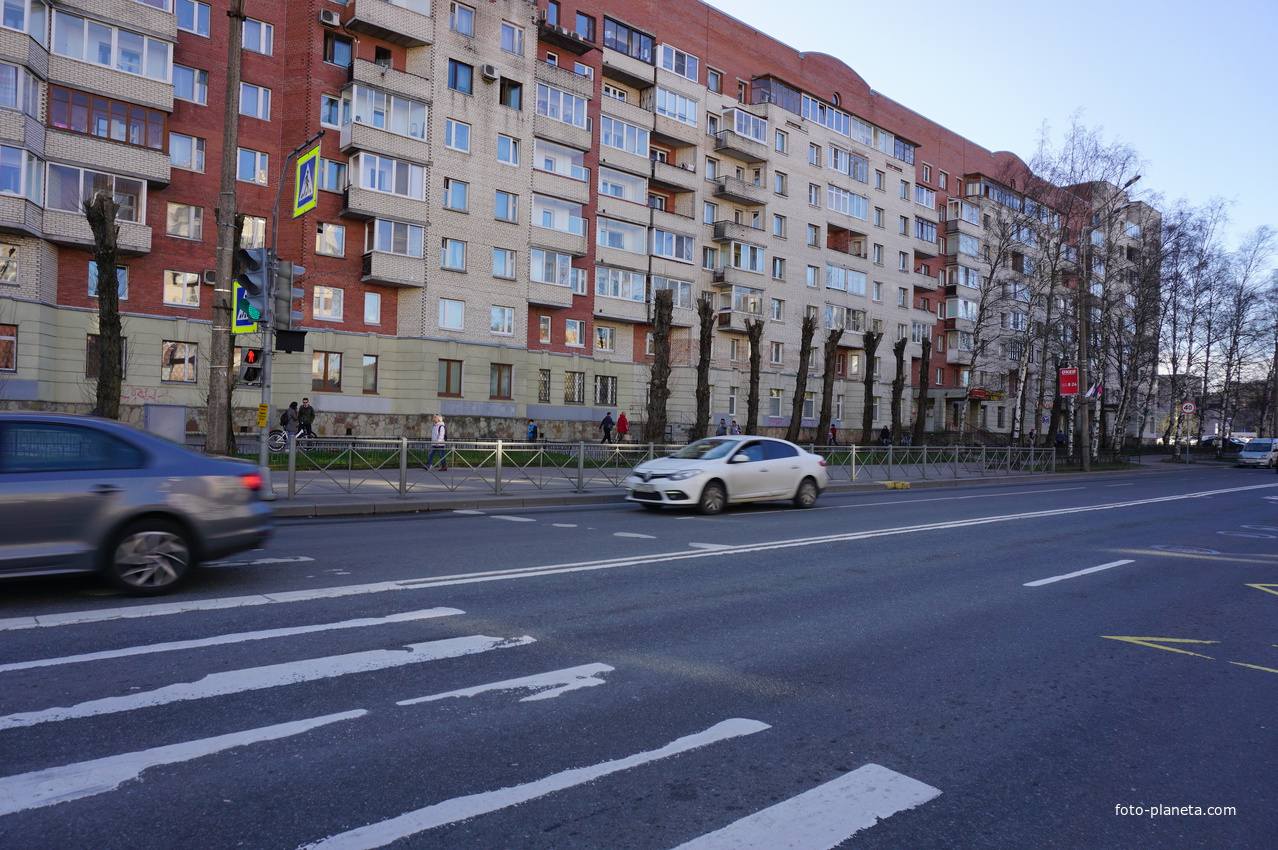 Сестрорецк