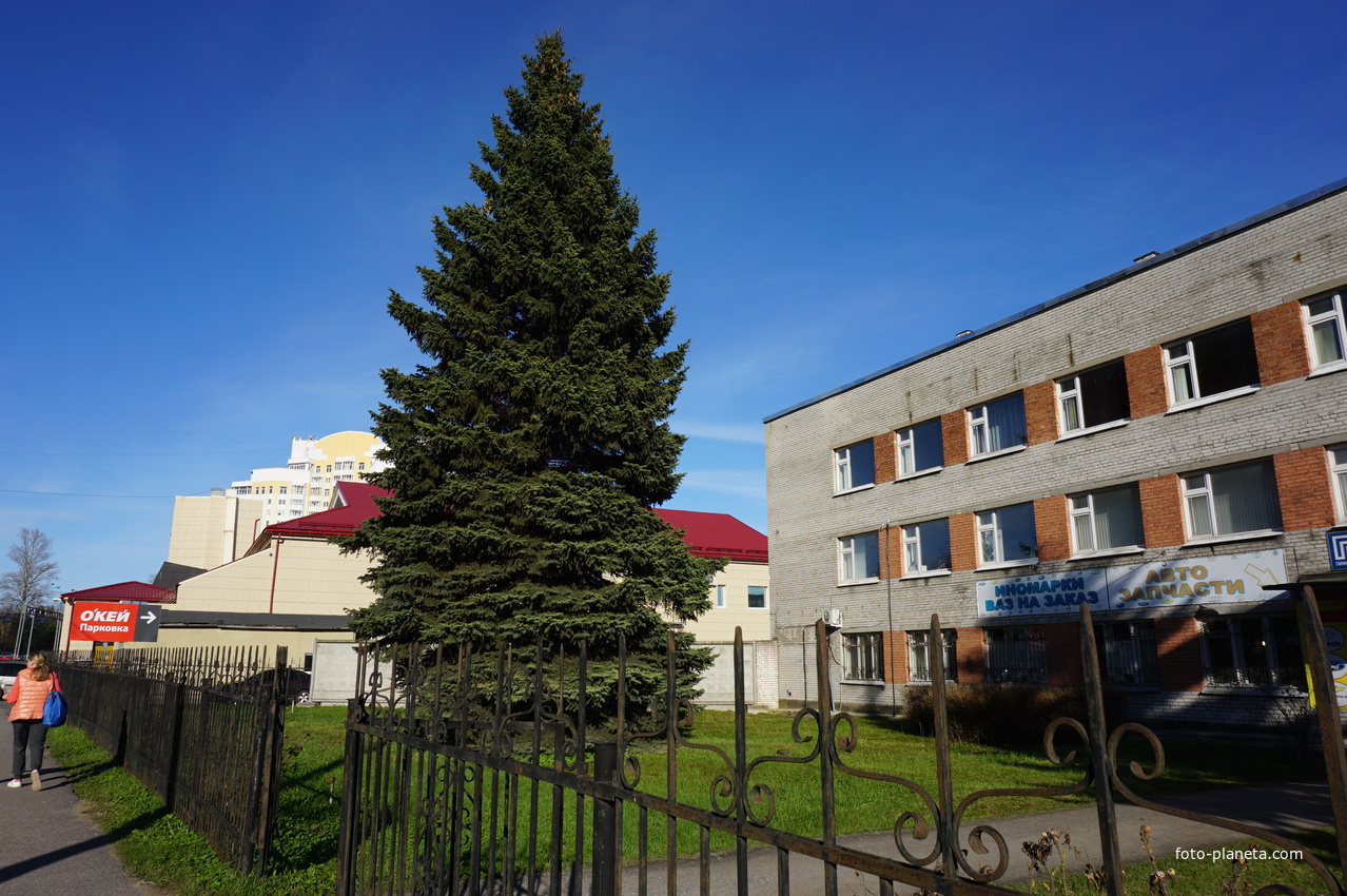 Сестрорецк