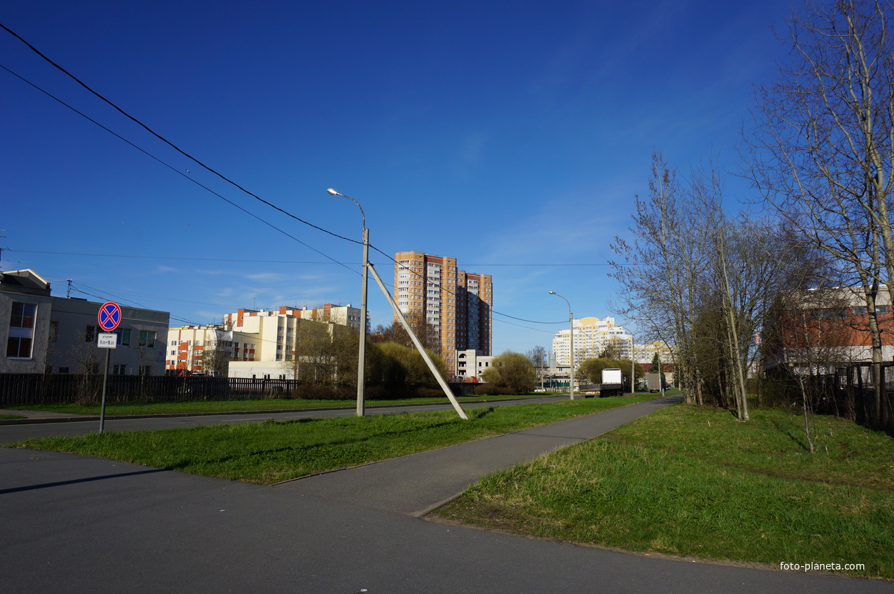 Сестрорецк