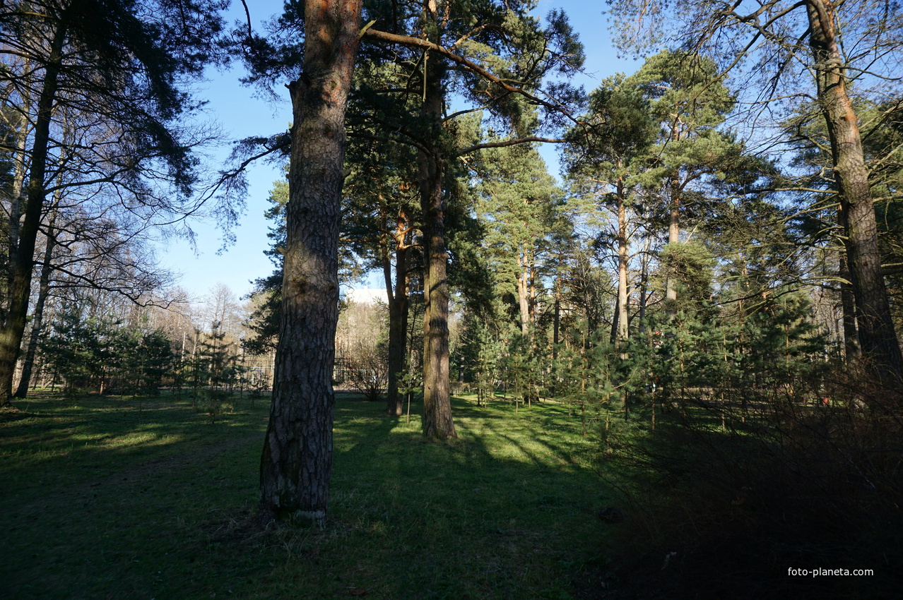 Сестрорецк