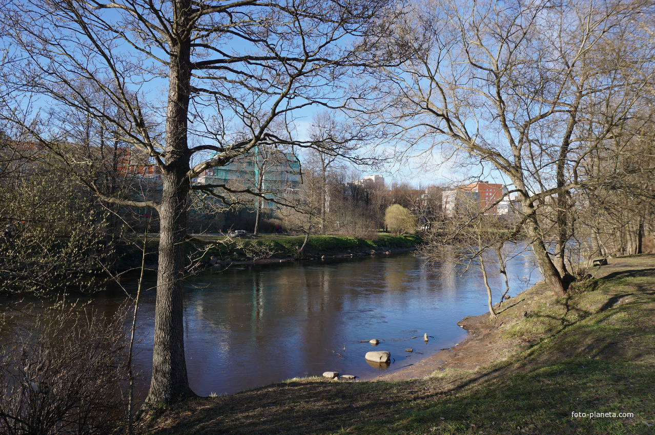 Сестрорецк