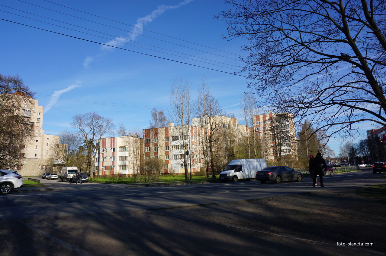 Сестрорецк