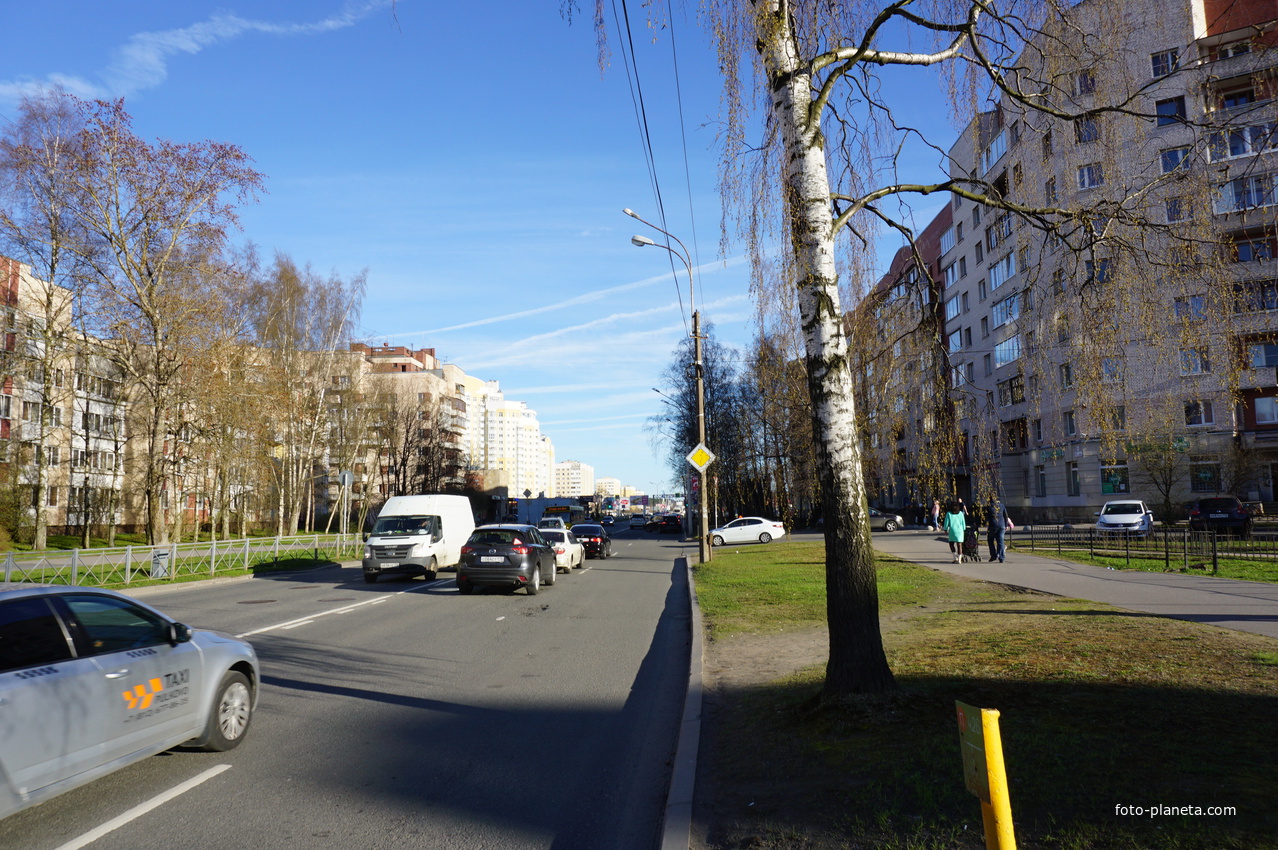 Сестрорецк