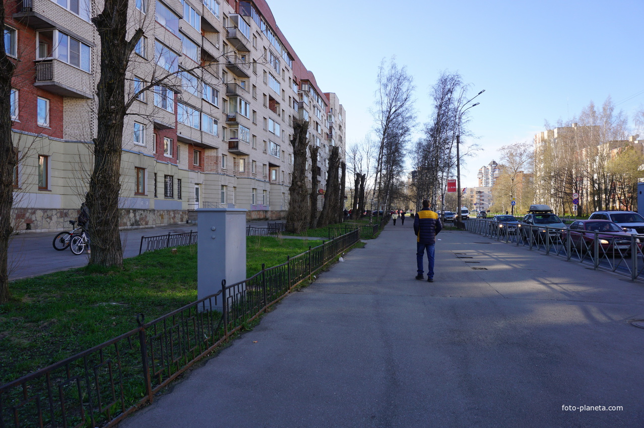 Сестрорецк