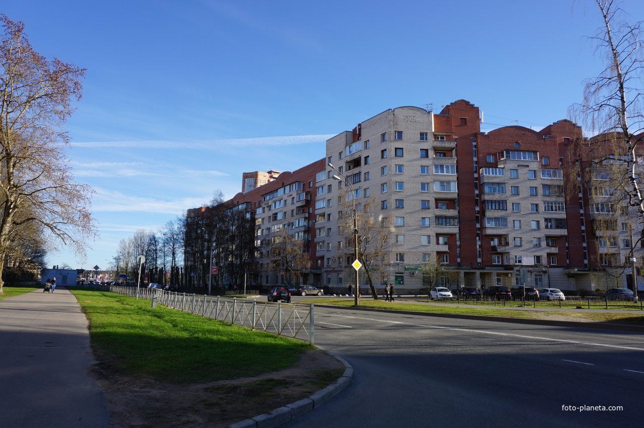 Сестрорецк