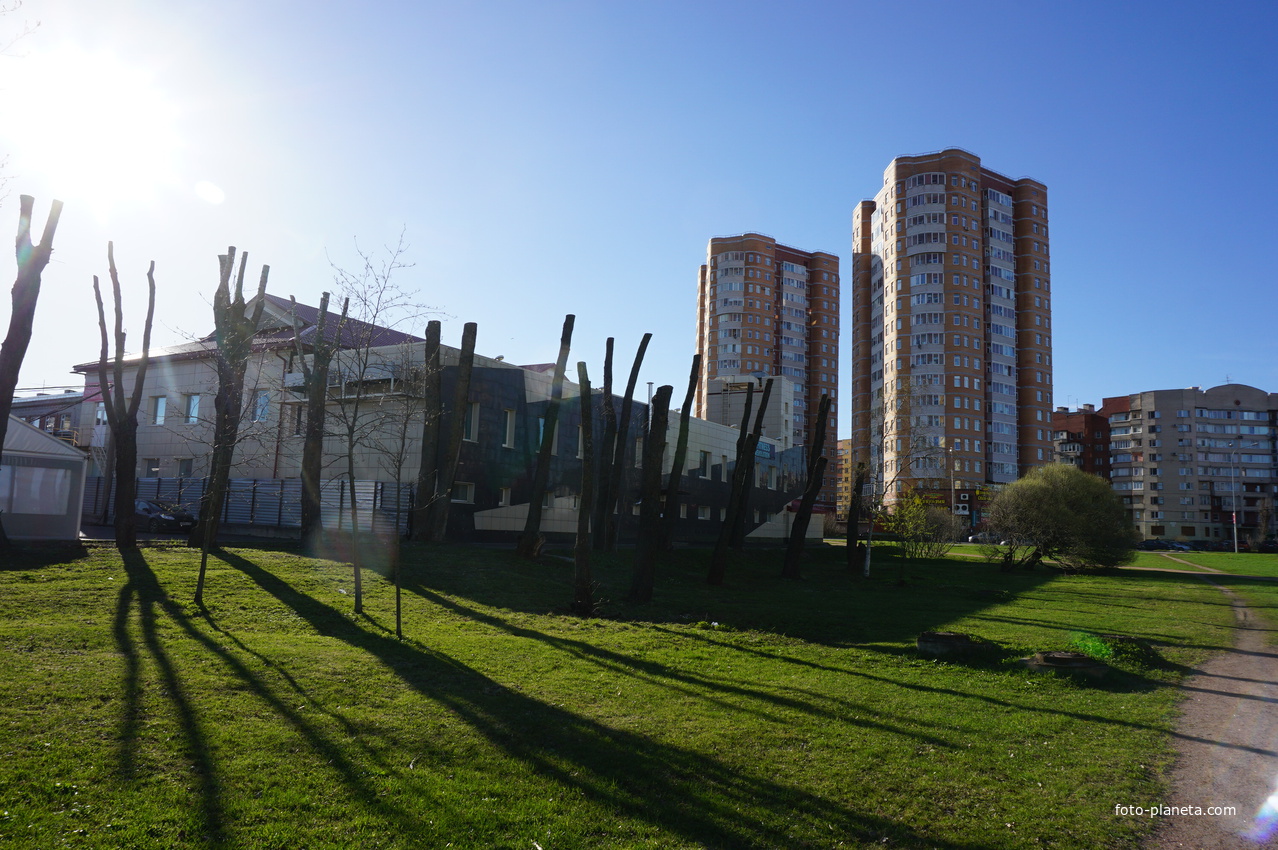 Сестрорецк