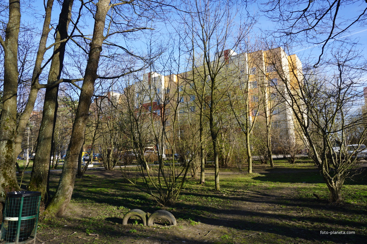 Сестрорецк