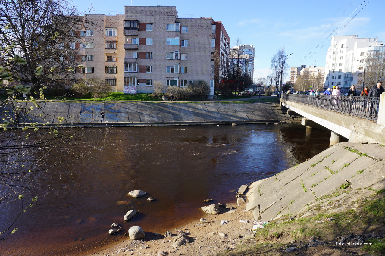 Сестрорецк