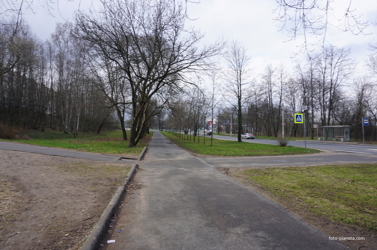 Мартышкино.