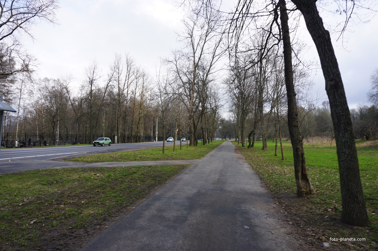 Мартышкино