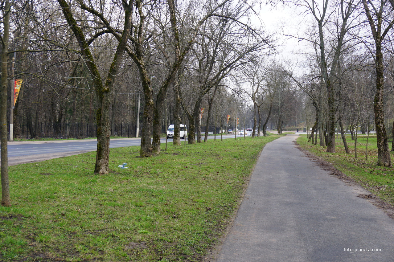 Мартышкино