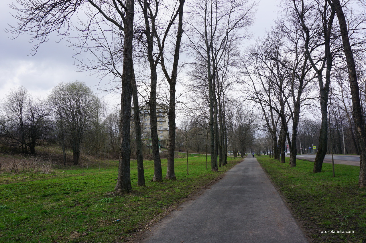 Мартышкино