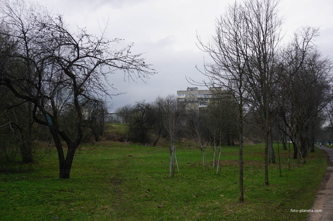 Мартышкино