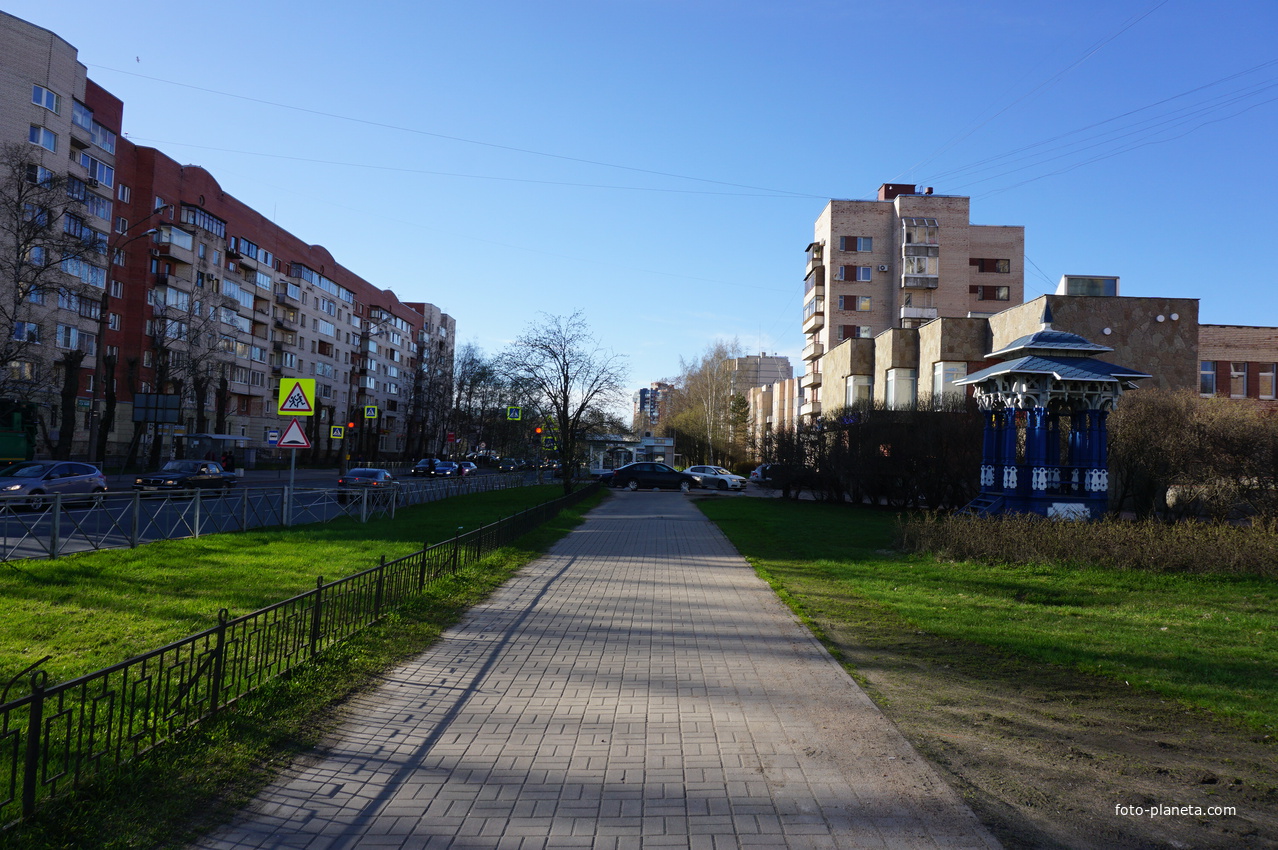 Сестрорецк