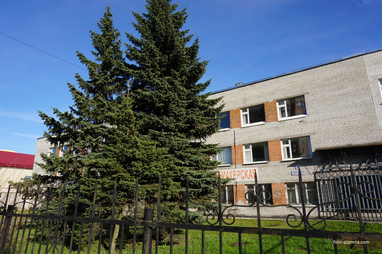 Сестрорецк