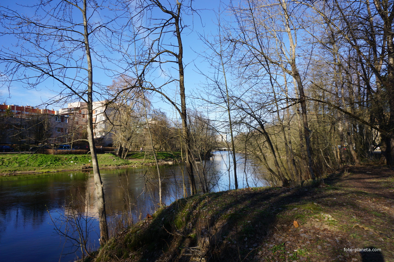 Сестрорецк