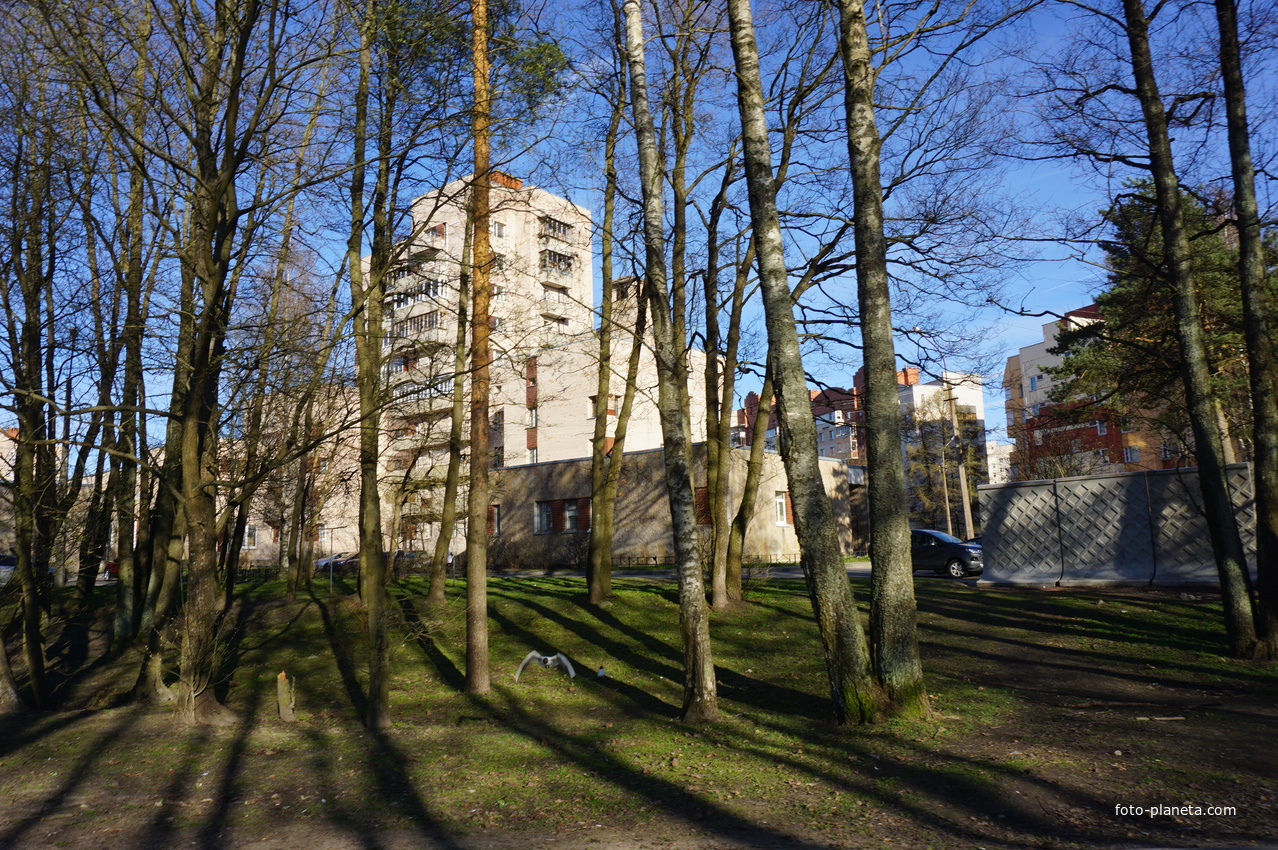 Сестрорецк