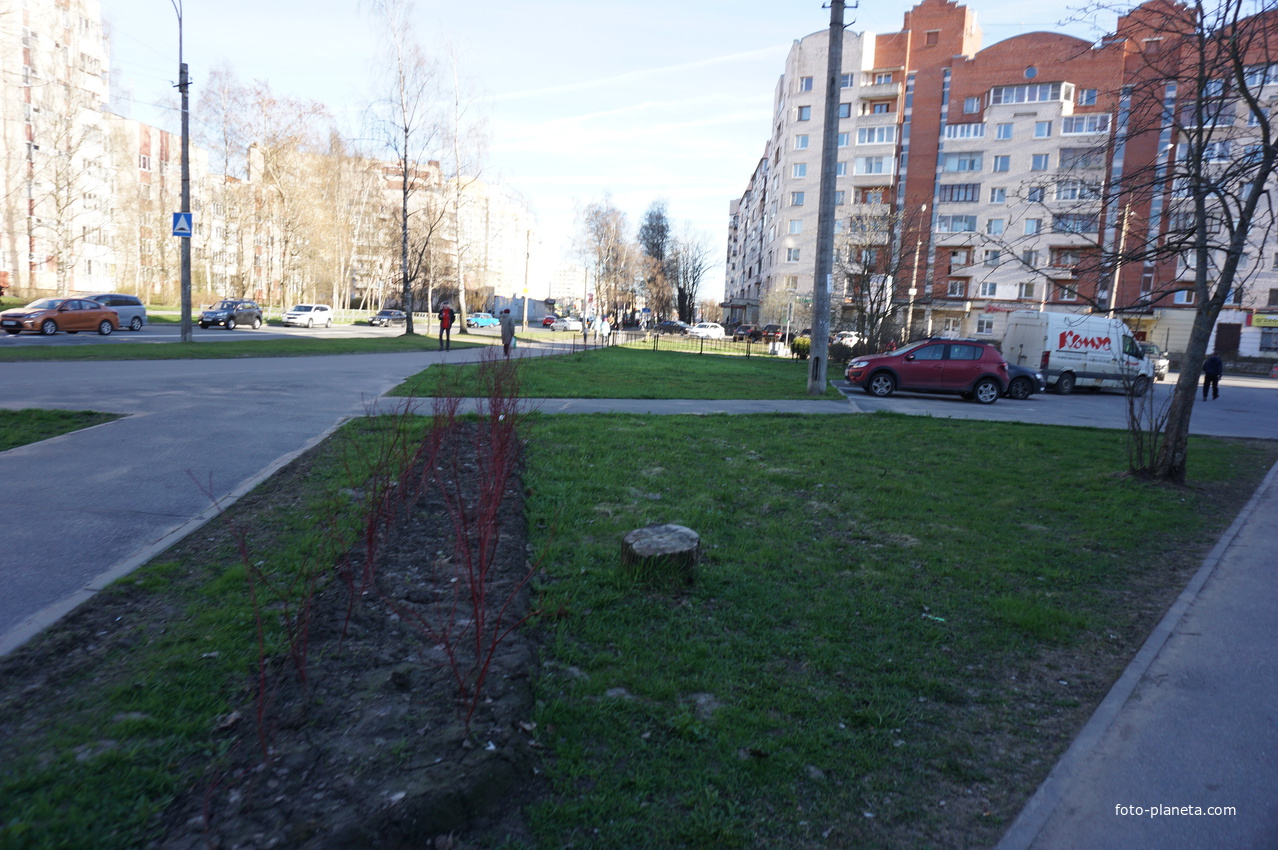 Сестрорецк