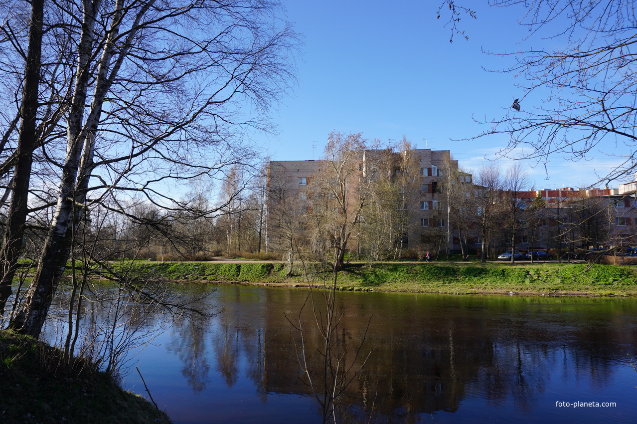 Сестрорецк