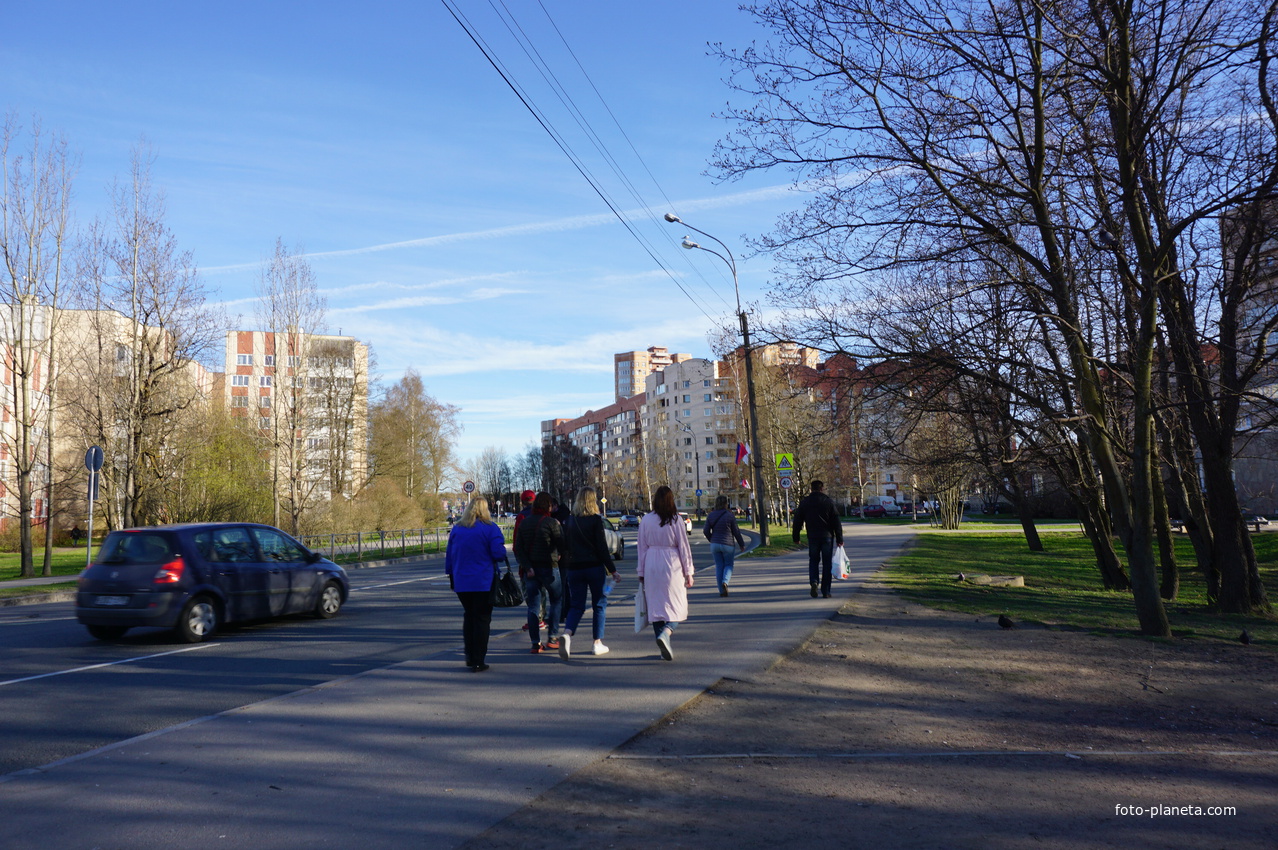 Сестрорецк