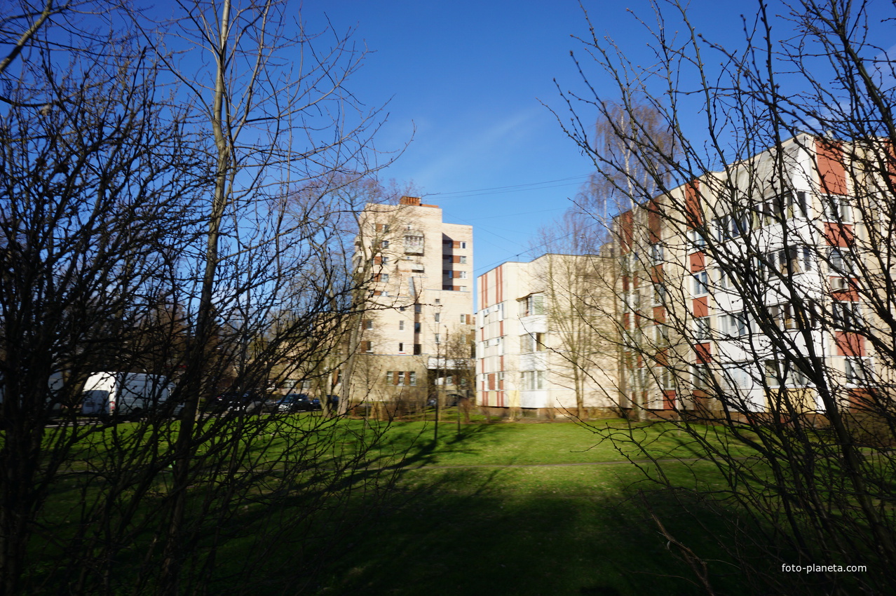 Сестрорецк