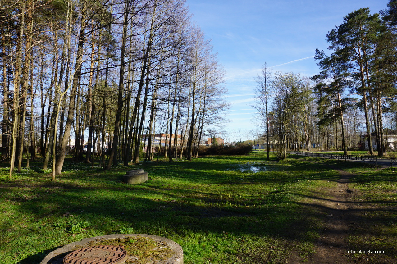 Сестрорецк