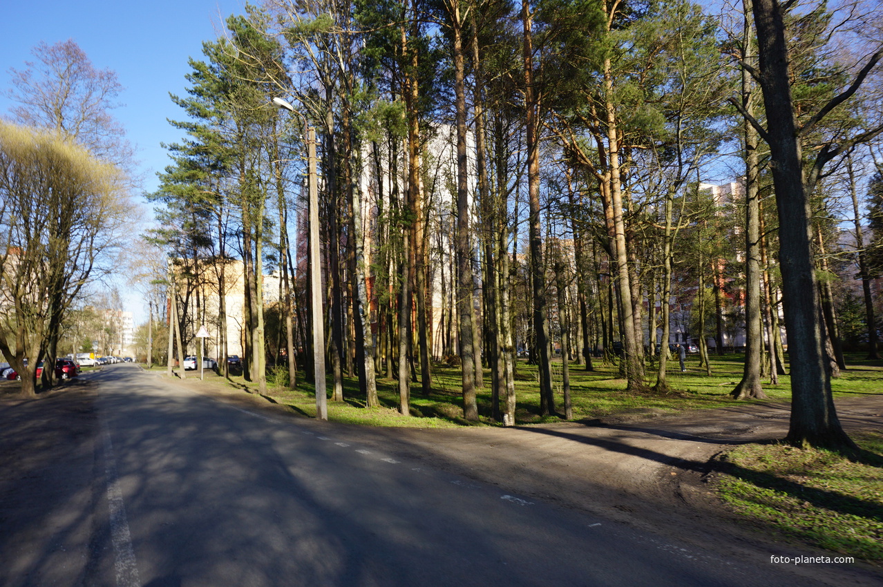 Сестрорецк