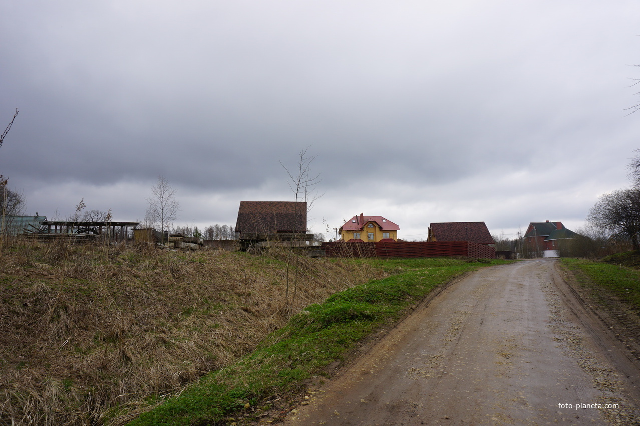 Мартышкино.