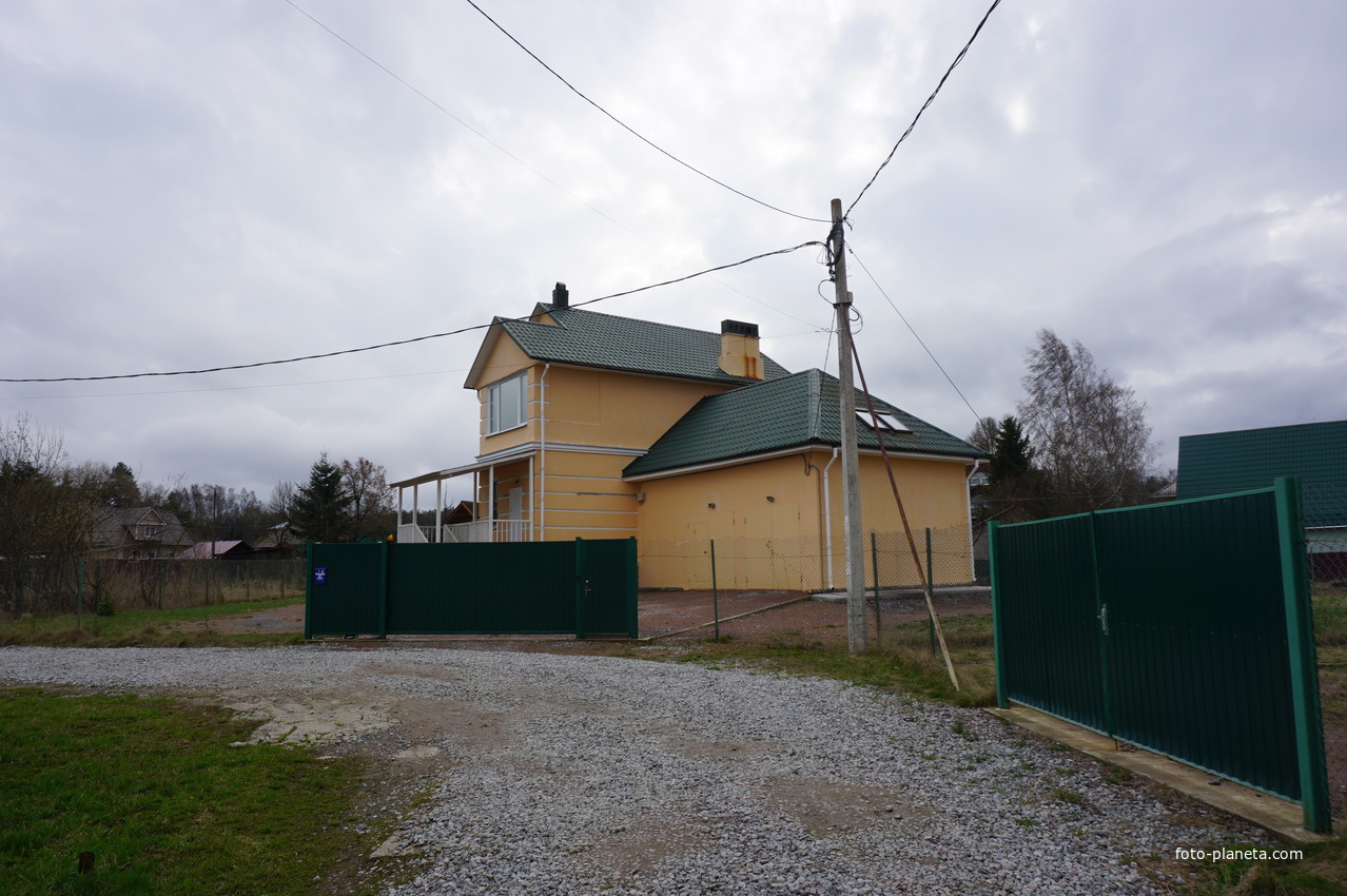 Мартышкино.