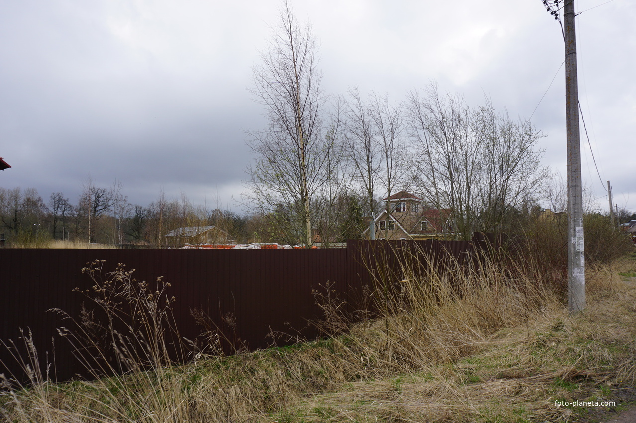 Мартышкино.