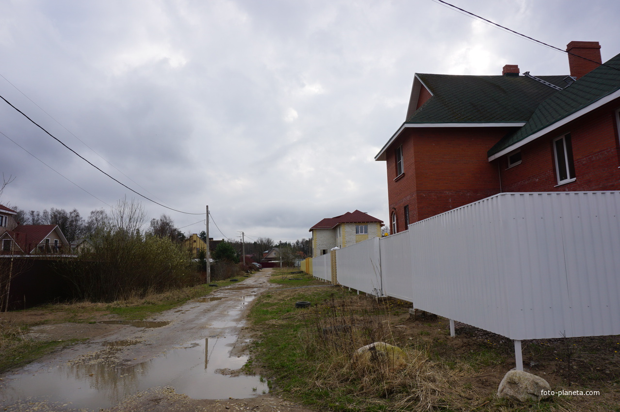 Мартышкино.