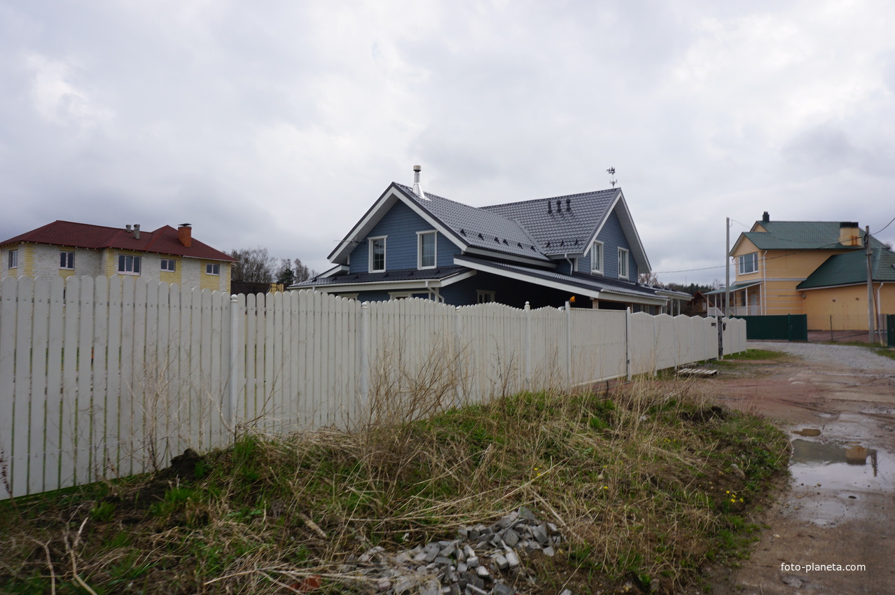 Мартышкино.